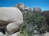 G0010763
