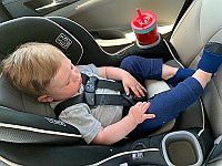 IMG 1775