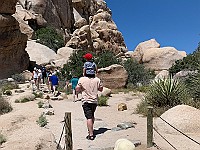 IMG 1819