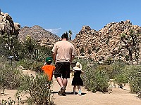 IMG 1833