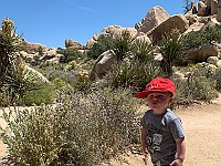 IMG 1867