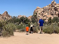 IMG 1878