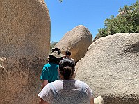 IMG 1879