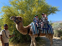 IMG 1935