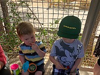 IMG 1953
