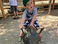 IMG 1956