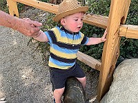 IMG 1959