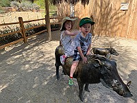 IMG 1960