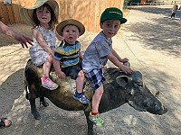 IMG 1966