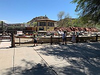 IMG 1992