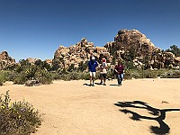 IMG 2095