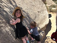 IMG 2098