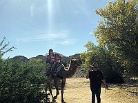 IMG 2106.JPEG