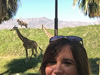 IMG 2120