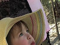 IMG 2121