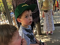 IMG 2123